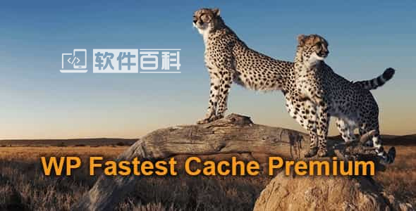 WP Fastest Cache Premium – WordPress缓存加速插件高级版 v1.6.8-软件百科